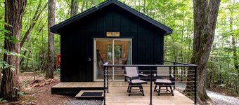 Secluded Forest Paradise: Cozy Cabin on 150 Acres in Transylvania County, NC