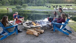 A group of people sitting around a campfire in outdoor chairs by a lake with cattle in the background.