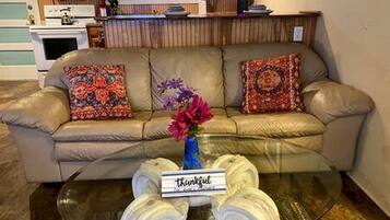 TV, fireplace, video games, DVD player