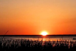 Beach nearby, sailing, kayaking, fishing - Gorgeous Waterfront Studio Cabin Rental on Lake George near Palm Coast, Florida (Seville)