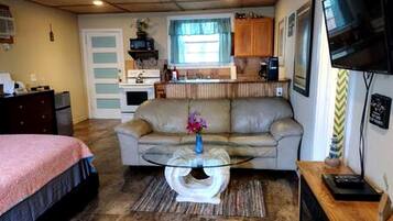 TV, fireplace, video games, DVD player