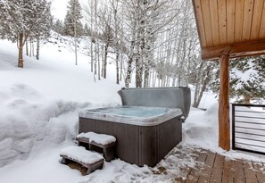 Baignoire à remous extérieure