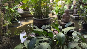 A tranquil indoor garden with a pond, potted plants, and stone statues. - Liberety Patong Resort (Patong)