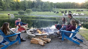 Terrain de l’hébergement