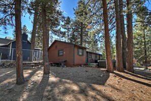 Une cabane avec une cour clôturée, entourée de grands pins.