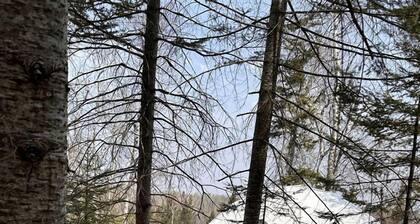 Gorgeous Off-Grid Glamping Dome on the Pincushion Trail System, Perfect for a Weekend of Hiking