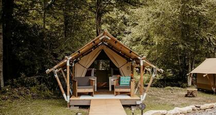 Cozy Safari Tent for Two in Erwin, Tennessee