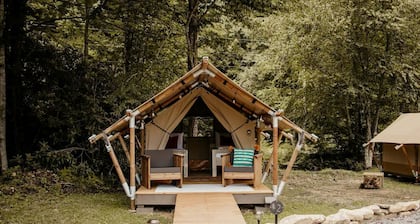 Cozy Safari Tent for Two in Erwin, Tennessee