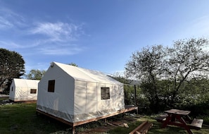 Two white tents with windows, set on a grassy area with trees in the background.
