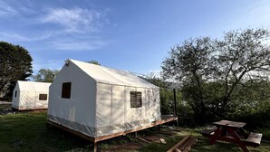 Two white tents with windows, set on a grassy area with trees in the background.