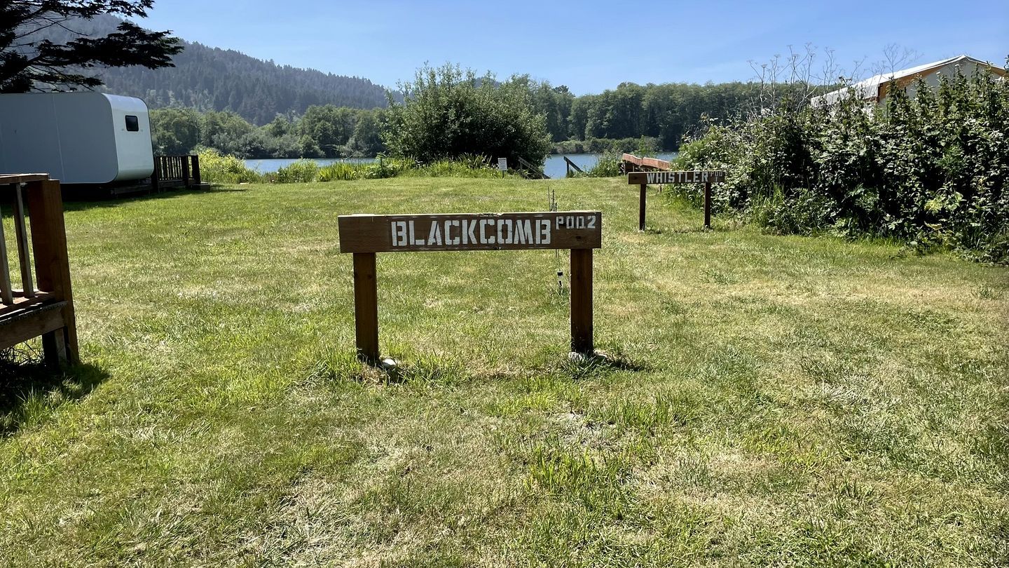 Um letreiro com a inscrição 'BLACKCOMB POOL' em área gramada, com um lago e árvores ao fundo.