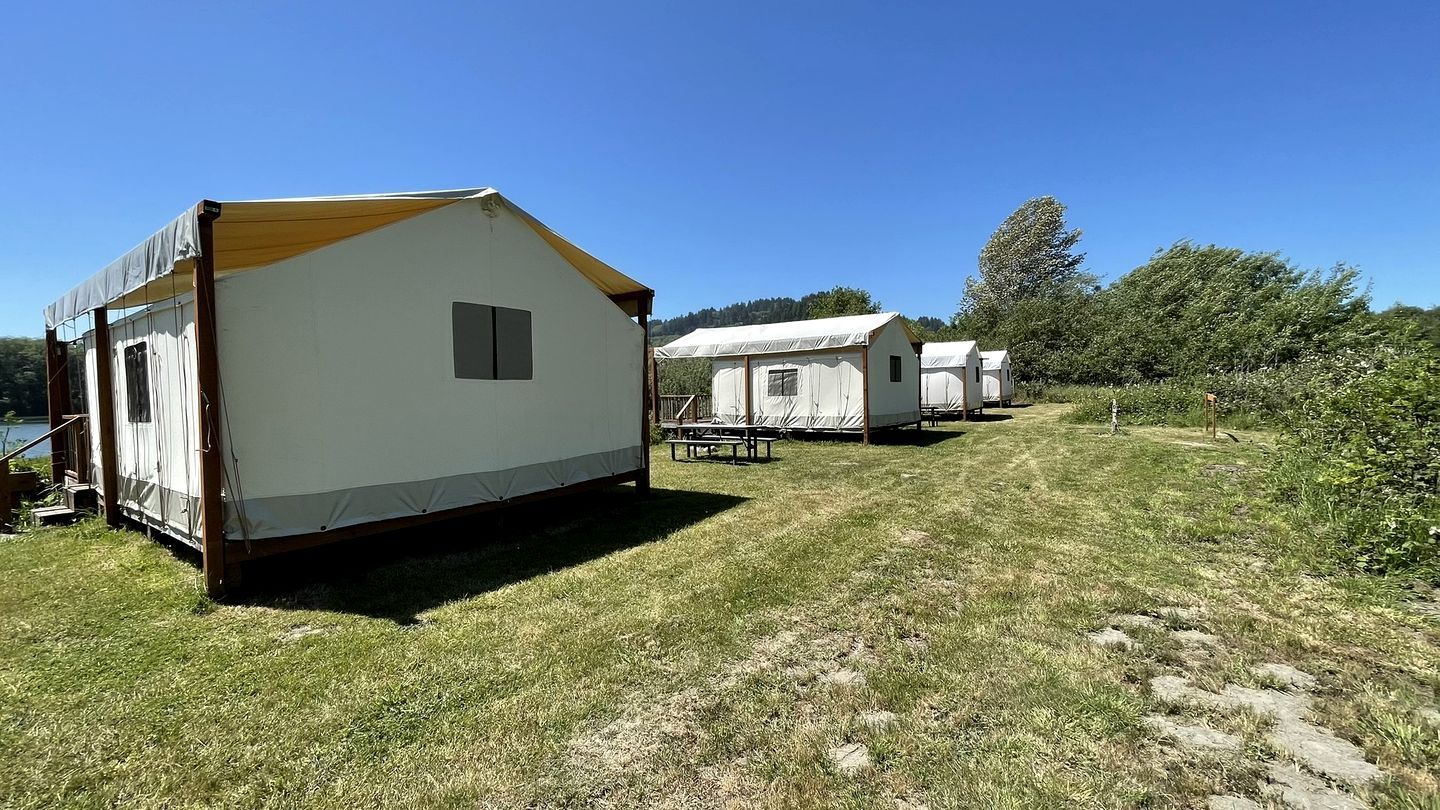 Une rangée de maisons mobiles, avec un champ verdoyant au premier plan et des arbres en arrière-plan.