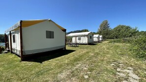 A row of mobile homes with a grassy field in the foreground and trees in the background.