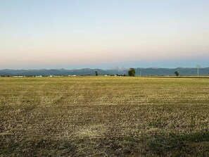 A vast open field with distant mountains and a clear sky.