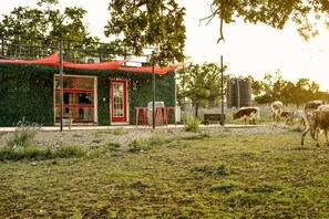 المنشأة من الخارج