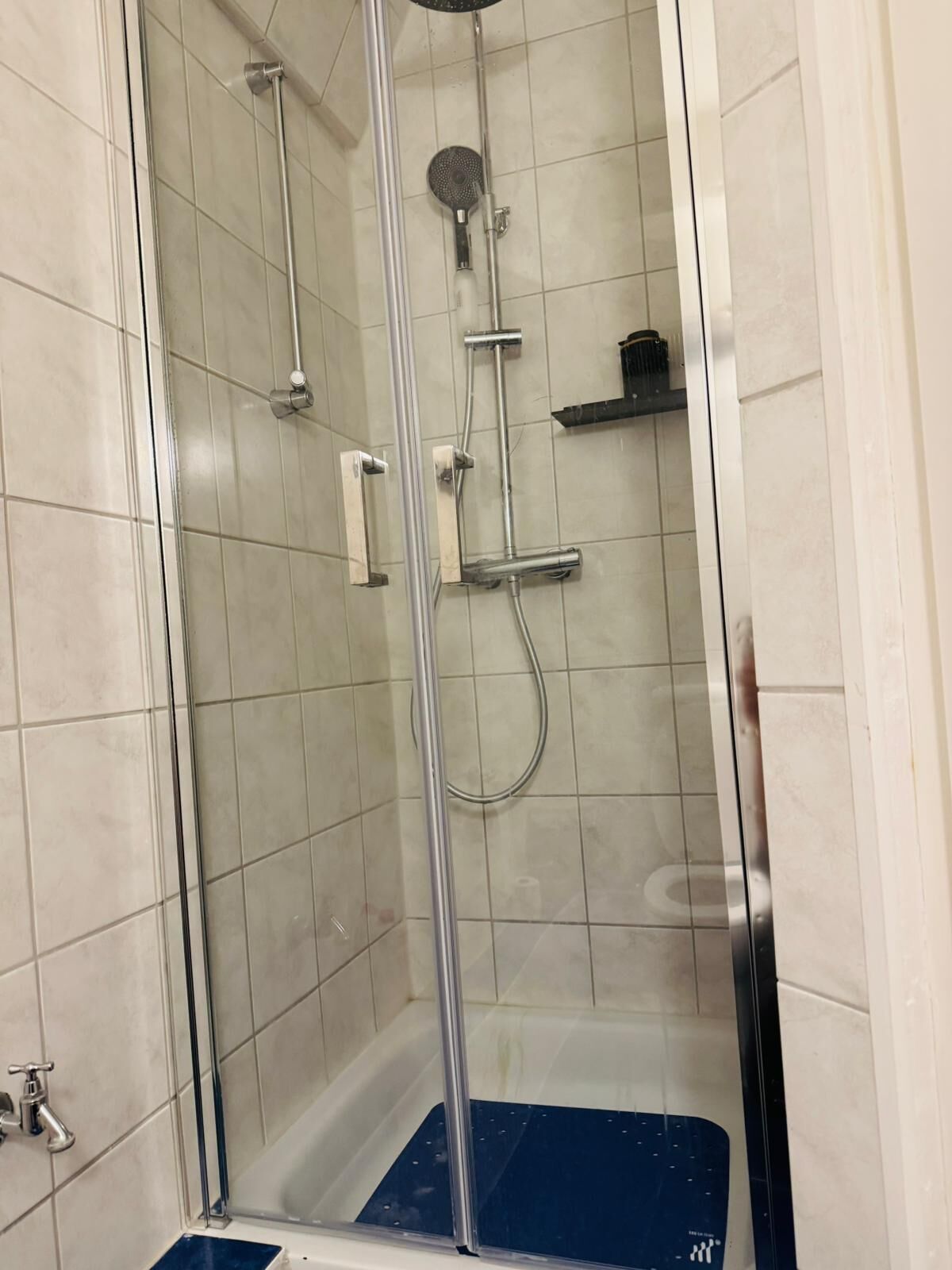 シャワー、バスアメニティ (無料)、ヘアドライヤー、タオル