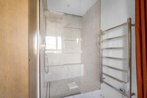 Regadera, secadora de cabello, bidet, toallas 