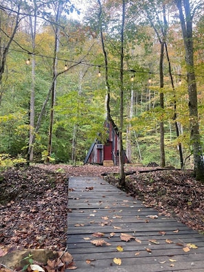 Property grounds - Ultimate Glamping Getaway near Red River Gorge, Kentucky, Perfect for Romantic Getaways (Stanton)