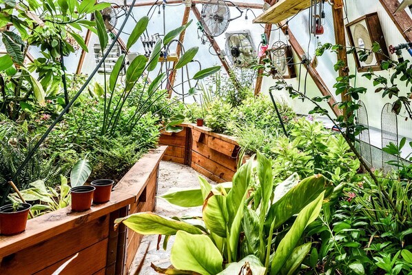 Overnattingsstedets uteområder