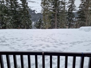 Ein mit Schnee bedeckter Balkon mit Blick auf einen Wald und Berge im Hintergrund.
