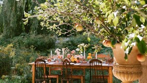 Un espace extérieur aménagé pour les repas, avec une table dressée pour quatre personnes, entourée de chaises, et une grande plante en pot placée au premier plan.