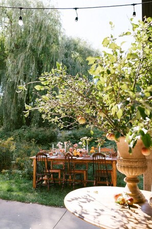Un espace extérieur aménagé pour les repas, avec une table dressée pour quatre personnes, entourée de chaises, et une grande plante en pot placée au premier plan.