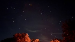 A night sky with stars, a small illuminated building, and trees.
