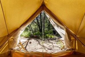 A tent with a clear view of a forested area outside.