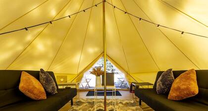 Pioneering Pet-Friendly Glamping: Mt. Laguna's Original Nature Lovers' Retreat