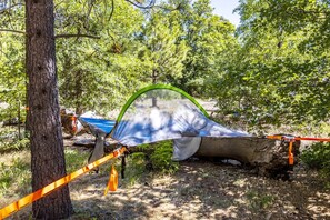 A tent set up in a wooded area with trees and a clear sky.