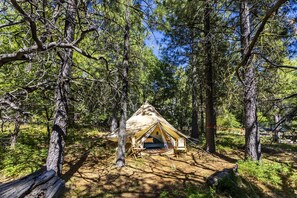 A small, single-room tent in a forest with a dirt ground.