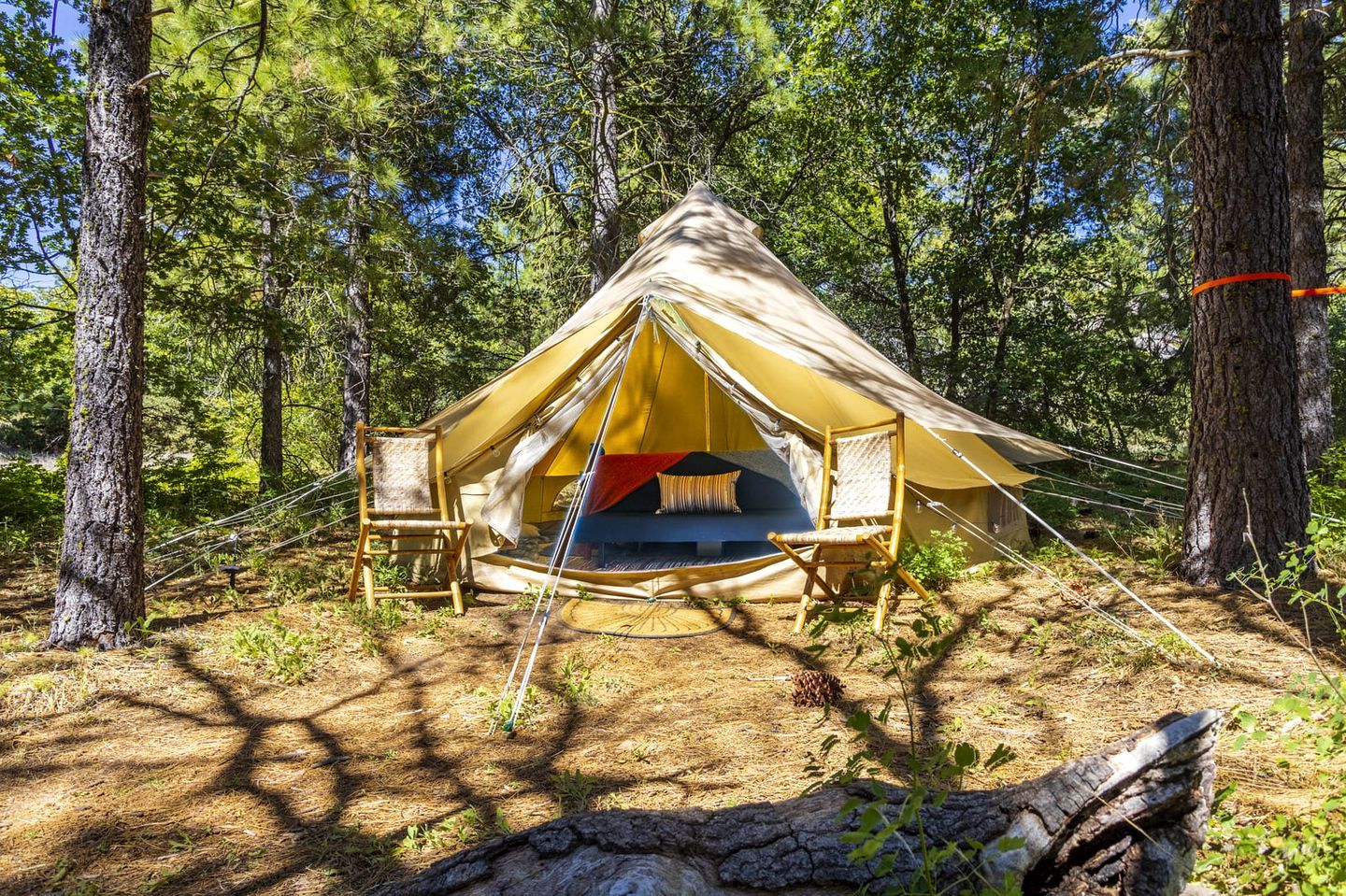 A forest campsite with a tent, two chairs, and a hammock.