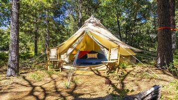 A forest campsite with a tent, two chairs, and a hammock.
