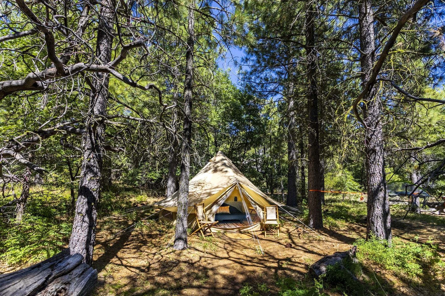 Une petite tente d’une seule pièce, installée dans une forêt, sur un sol en terre.