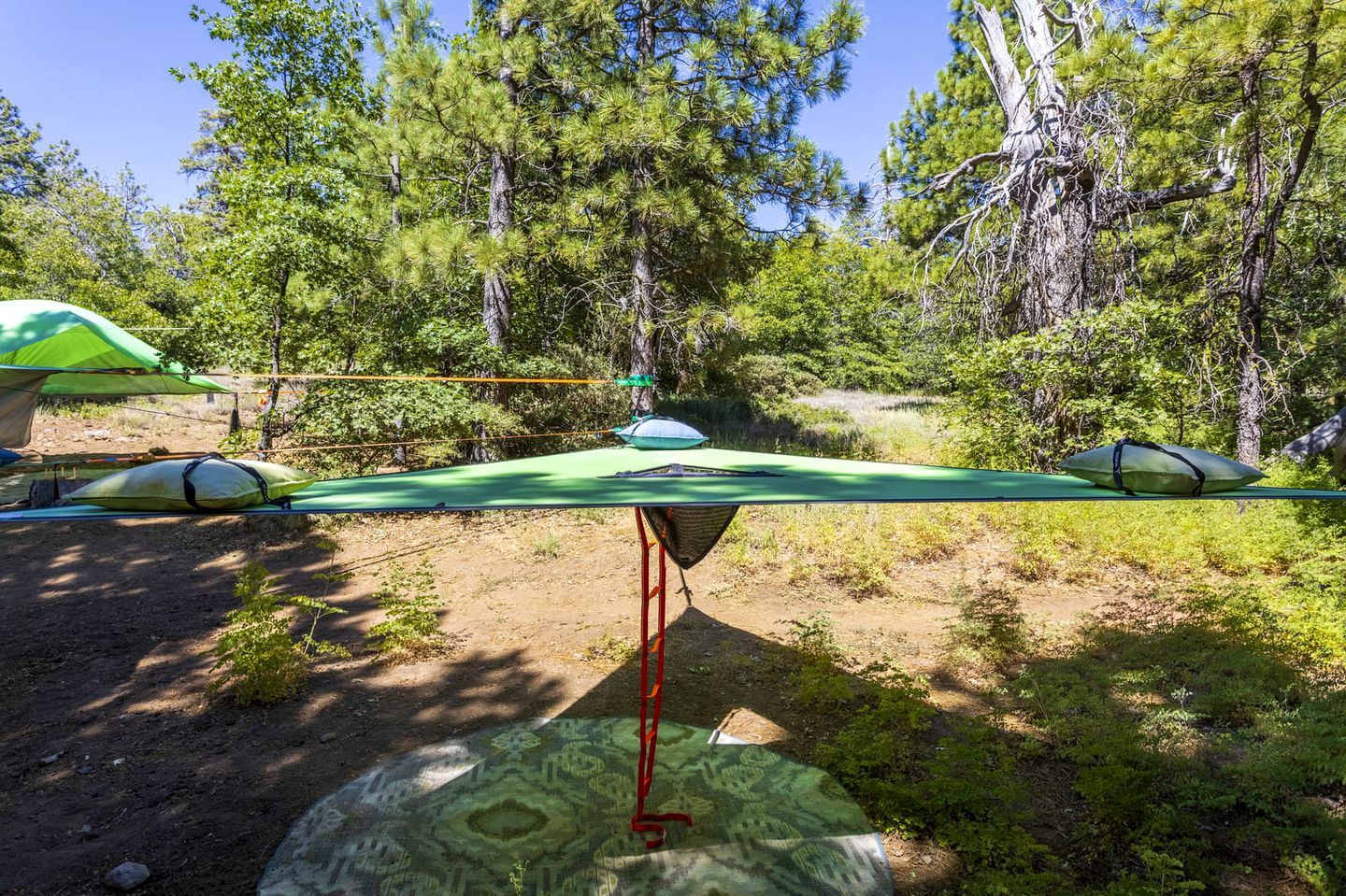A hammock suspended between trees in a forested area with a clear sky.