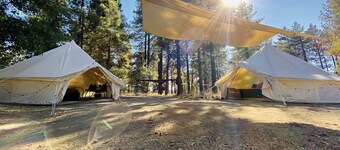 Grand Adventures in Nature: Big Group-Friendly and Original Glamping in California