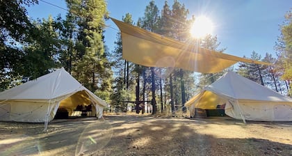 Grand Adventures in Nature: Big Group-Friendly and Original Glamping in California