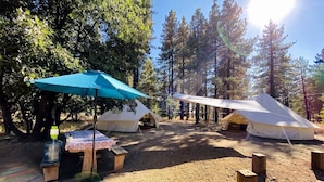 Un camping con tiendas de campaña, una mesa de picnic y un dispensador de agua.