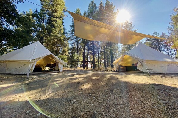Two white tents with a canopy, set in a forested area with a dirt ground.