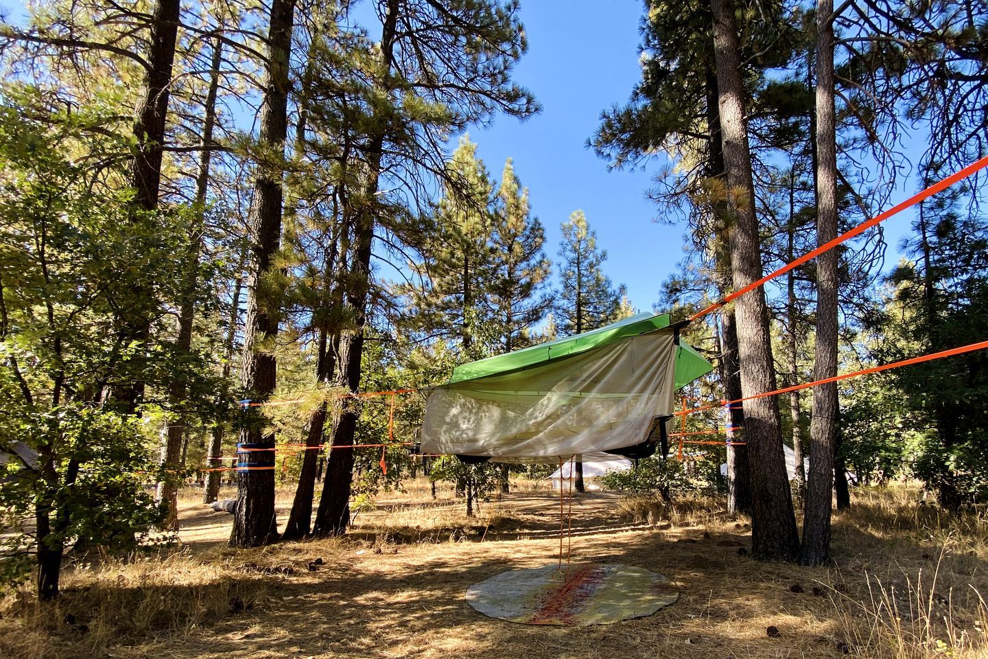 Una tienda de campaña montada en un bosque, con árboles y cielo despejado.