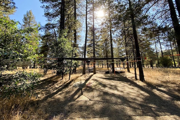 A forested area with a clear sky, a bridge, and picnic tables.