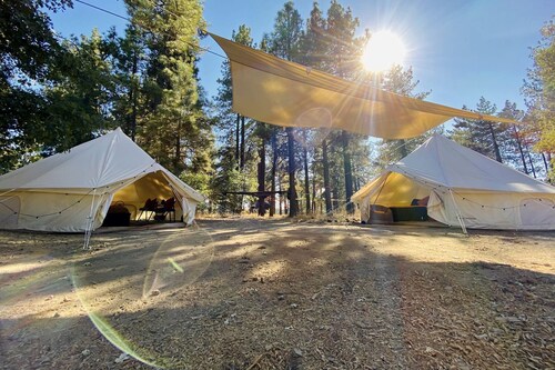 Grand Adventures in Nature: Big Group-Friendly and Original Glamping in California
