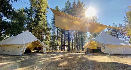Grand Adventures in Nature: Big Group-Friendly and Original Glamping in California