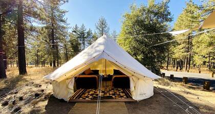 Grand Adventures in Nature: Big Group-Friendly and Original Glamping in California