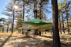 Una tienda de campaña montada en un bosque con árboles y cielo despejado.