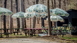 A row of picnic tables with patterned umbrellas, surrounded by trees. - Chic and Cozy: Romantic Glamping at Its Finest in Tennessee (Tracy City)