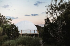 A dome structure with a wooden deck, surrounded by trees and vegetation. - Geo Dome 2 (Burnet)