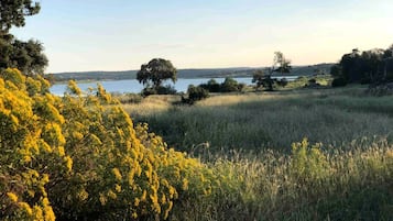 A natural landscape with a body of water, trees, and grassy areas.