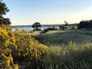 Un paysage naturel comprenant une étendue d’eau, des arbres et des zones herbeuses.