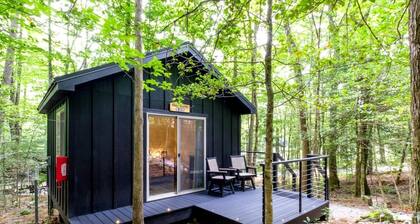 Romantic Retreat: Pet-Friendly Luxury Cabin in Enchanting Transylvania County